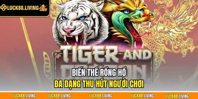 Biến thể Rồng Hổ đa dạng thu hút người chơi